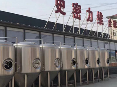 和县精酿啤酒设备厂—市场规模与跨界新需求